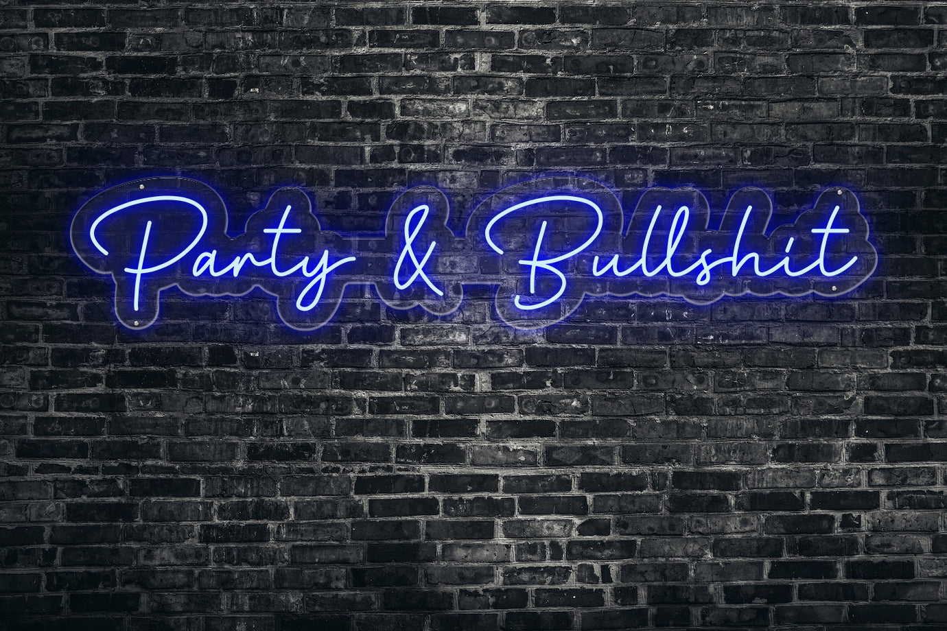 party & bullshit